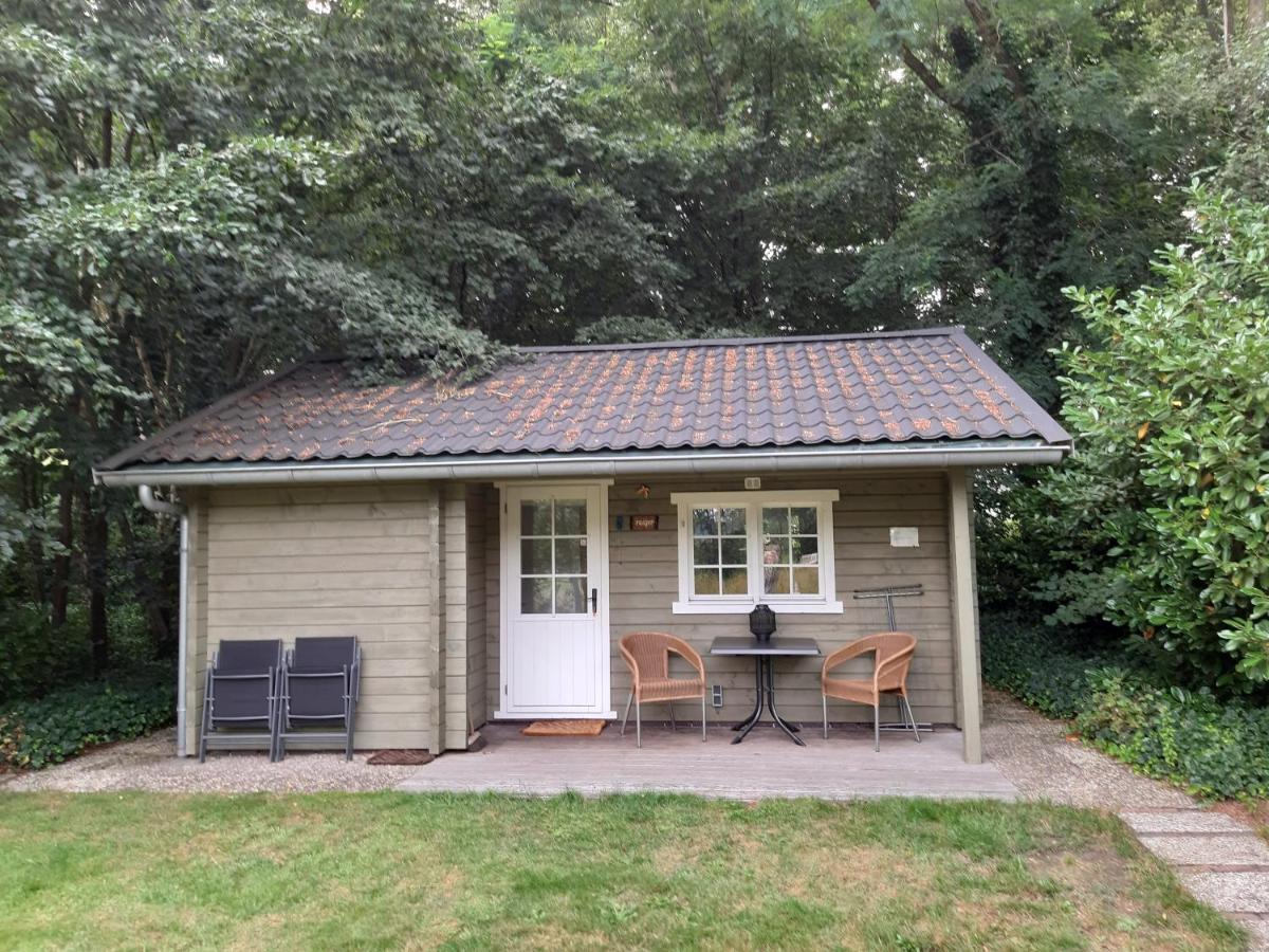 Reiger Chalet Appelscha